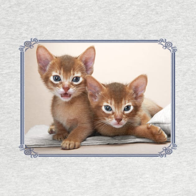 Abyssinian Cat T Shirt by Pam069